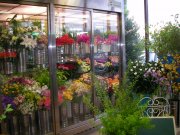 「サンフローラ」　（愛知県知多郡阿久比町）の花屋店舗写真2